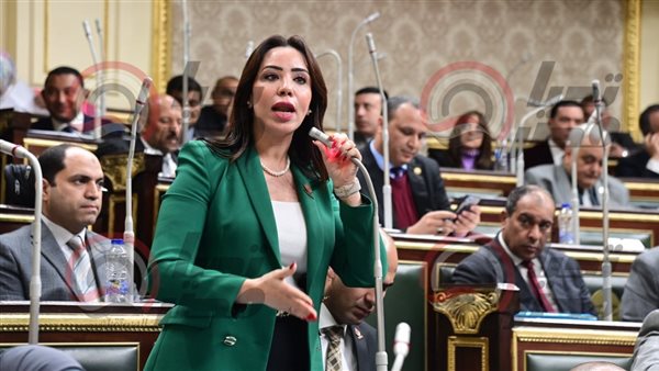  النائبة غادة علي