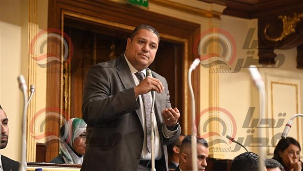 النائب محمد إسماعيل