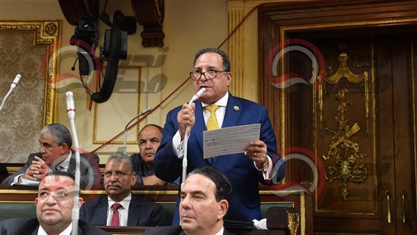 النائب محمد أبو هميلة