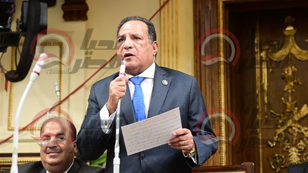 النائب محمد أبو هميلة