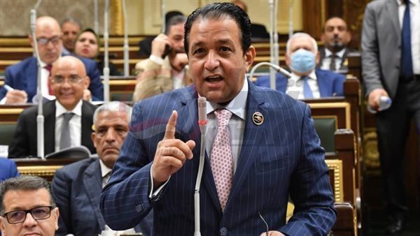 النائب علاء عابد