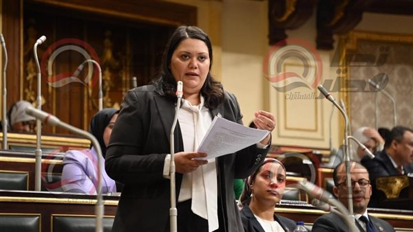  النائبة مارسيل سمير