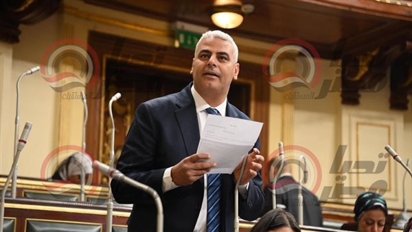 نائب التنسيقية نادر