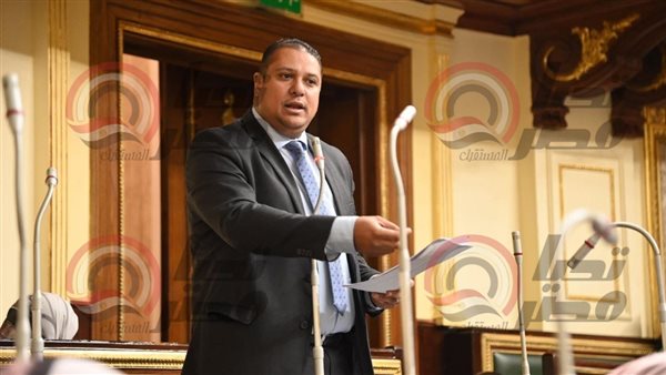  النائب محمد إسماعيل