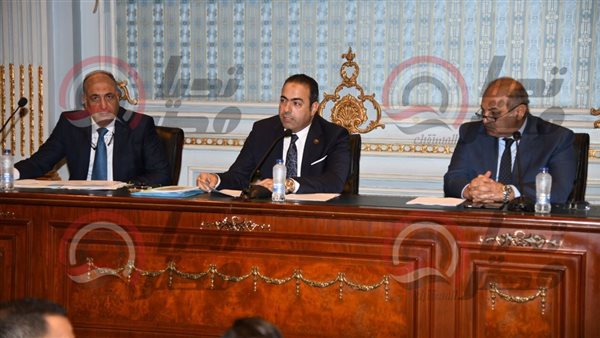 لجنة الشباب والرياضة