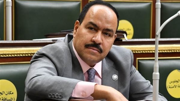  النائب أحمد عبد