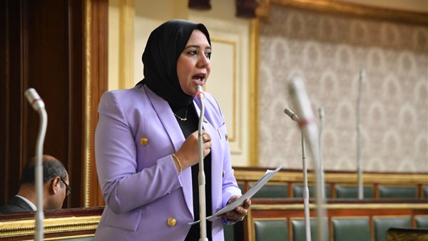 النائبة هيام الطباخ