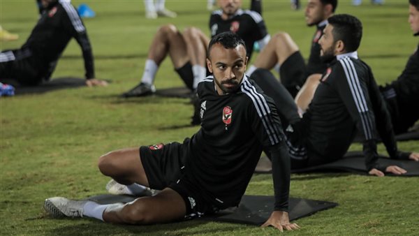 محمد مجدي أفشة 