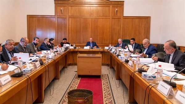 الدكتور هانى سويلم