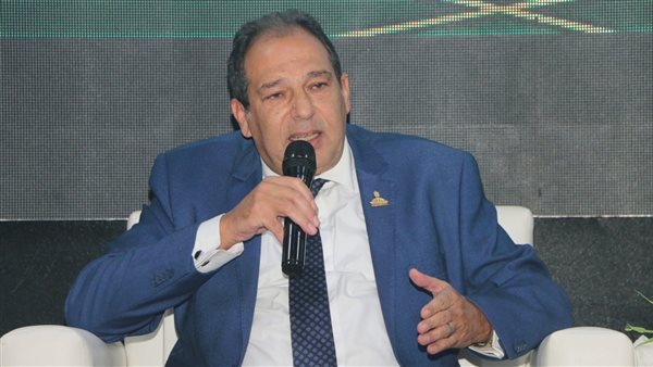  النائب حسام الخولي