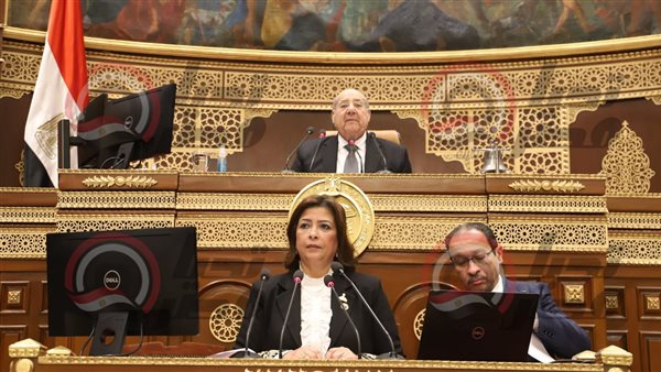 مجلس الشيوخ 