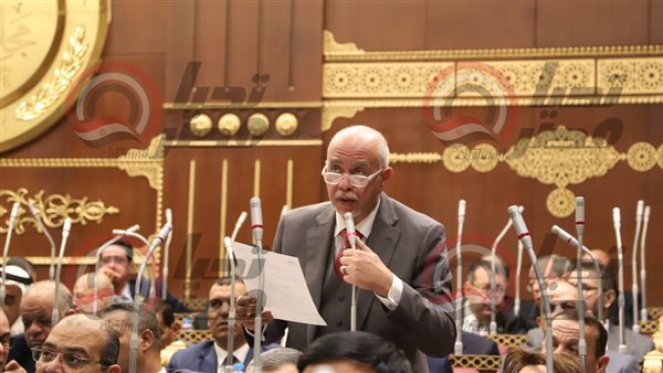 النائب حازم الجندي