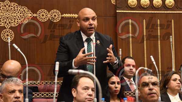  النائب محمود القط