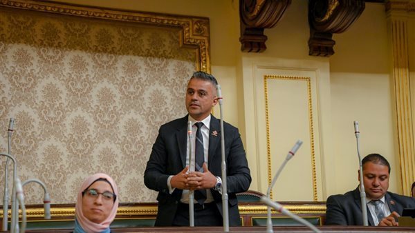 النائب أحمد فتحي