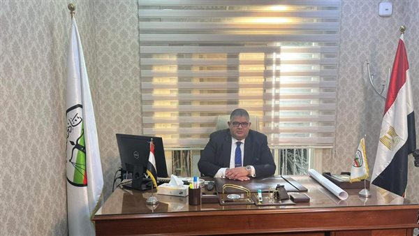 المستشار حمدي معوض