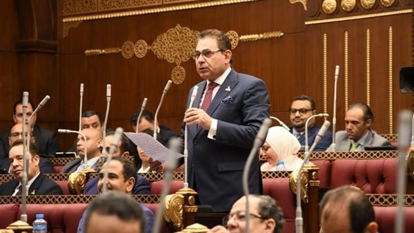  النائب فرج فتحي