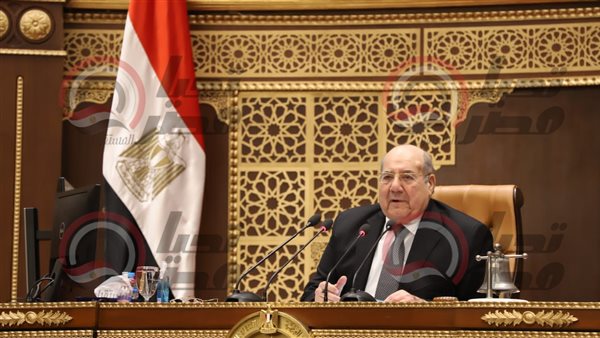  المستشار عبد الوهاب