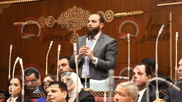  النائب محمود تركي