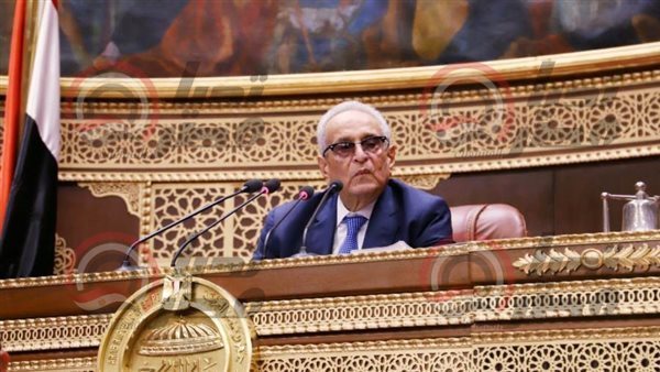 بهاء ابو شقه وكيل