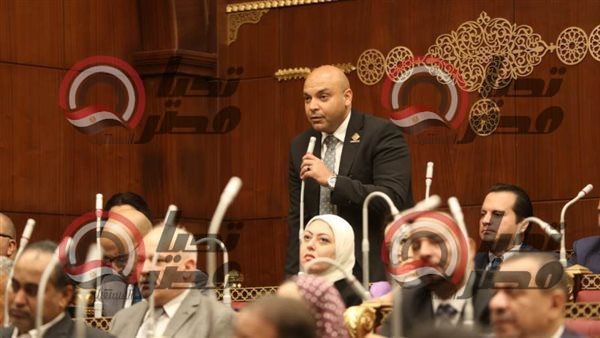  النائب محمود القط