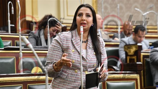 النائبة نشوى الشريف