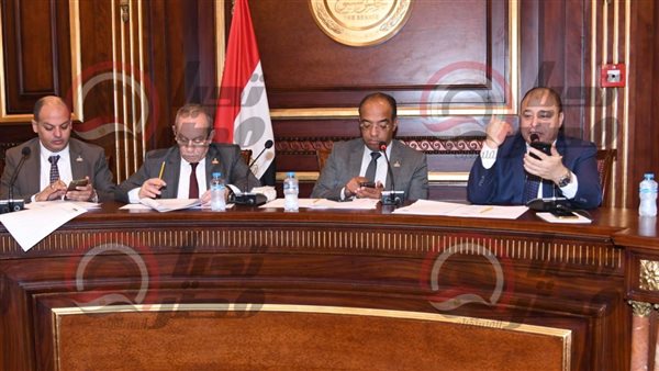  لجنة الصحة والسكان