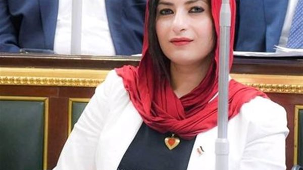 النائبة آيات الحداد