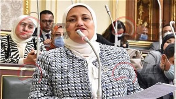 النائبة سناء السعيد