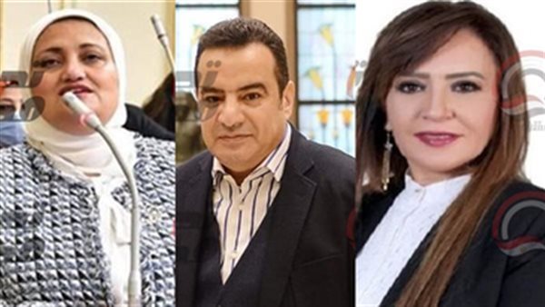 النائبة جيهان البيومي