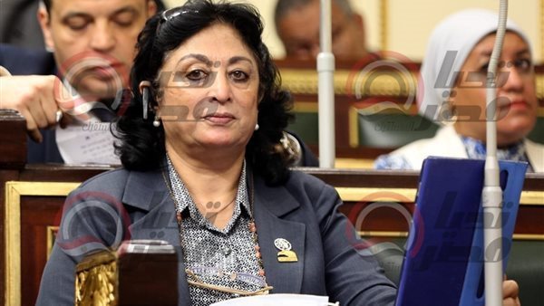 النائبة ميرفت نصر