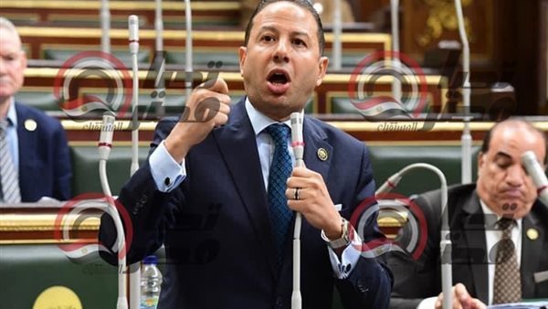 النائب حسن عمار 