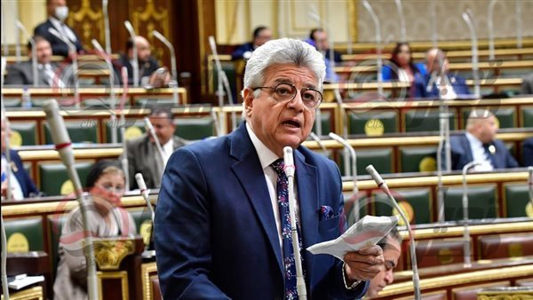 النائب هاني أباظة