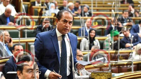 النائب سليمان وهدان