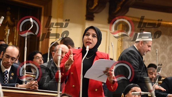 النائبة هيام الطباخ