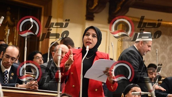 النائبة هيام الطباخ