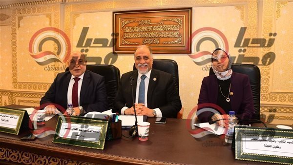 لجنة التضامن الإجتماعي