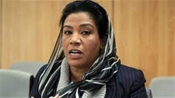 نشوى الديب، عضو مجلس