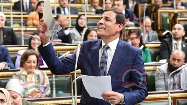 النائب محمد عبدالعليم