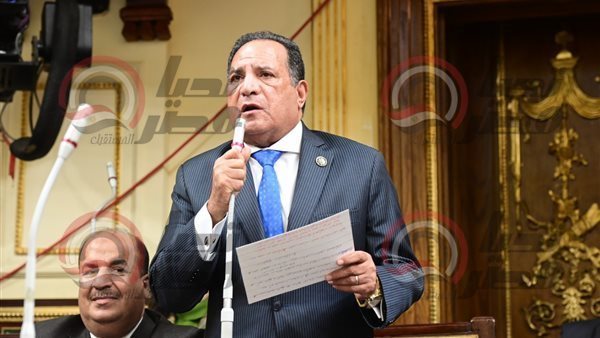 النائب محمد أبو هميلة