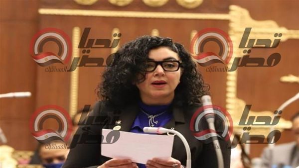 النائبة ريهام عفيفي