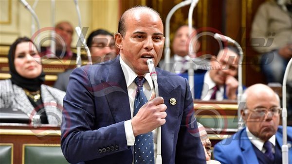  النائب عمرو القطامي