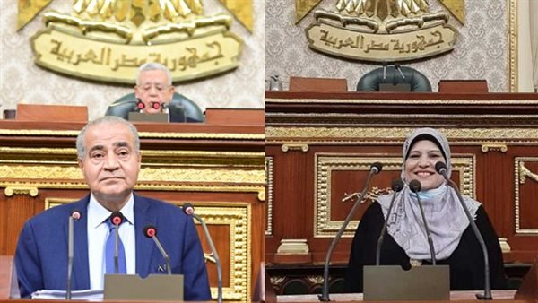 النائبة زينب السلايمى