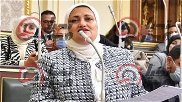 النائبة سناء السعيد،