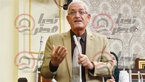 النائب عاطف مغاوري