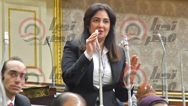 النائبة أميرة العادلي