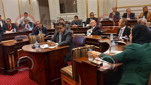  لجنة الصناعة بمجلس