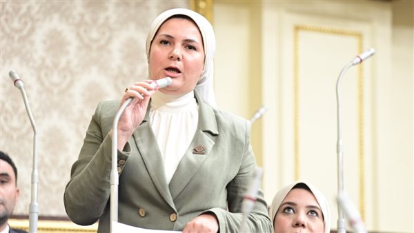 النائبة رحاب عبدالغنى