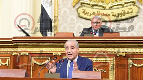 علي المصيلحي وزير