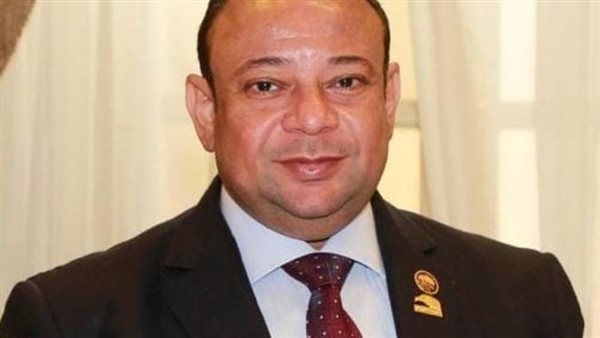  النائب محمد لبيب