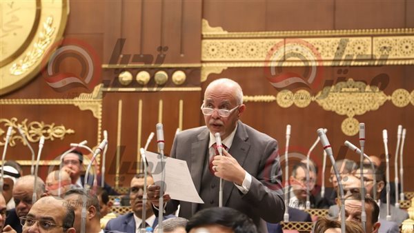 النائب حازم الجندي